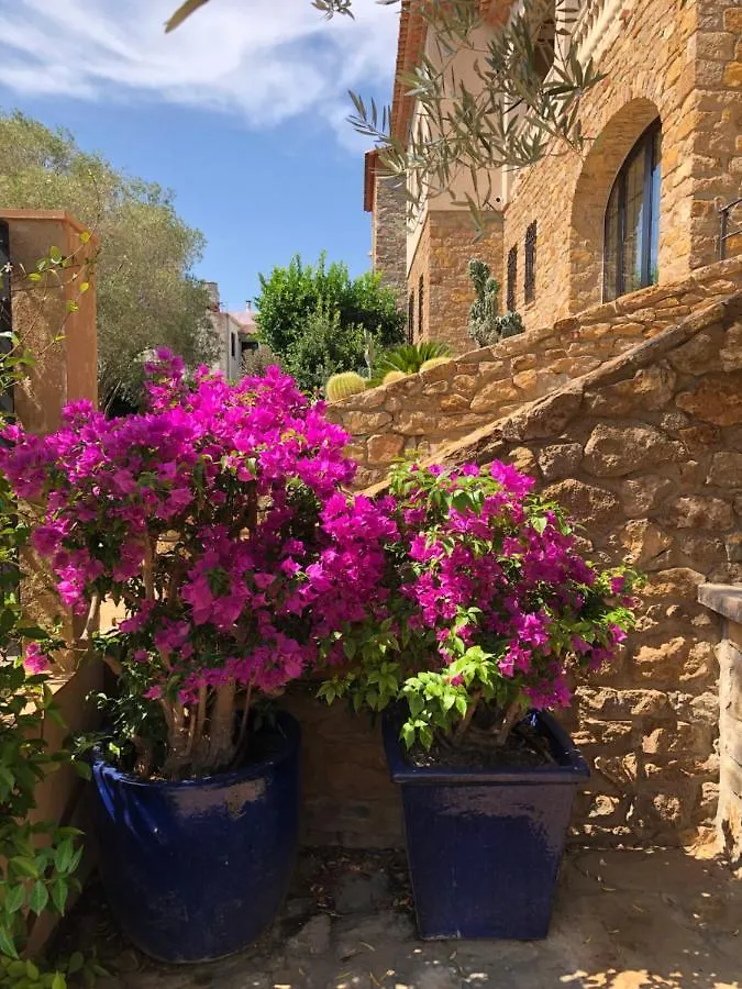 בגור Villa Anna