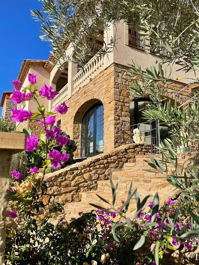 בגור Villa Anna
